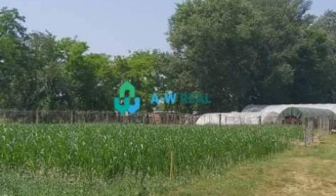 Krásny veľký pozemok v tichej časti obce Ňárad