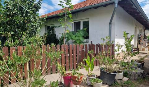 Na predaj 3 izbový rodinný dom s veľkým pozemkom