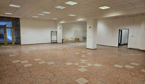 Exkluzívny obchodný priestor na predaj v centre Dunajskej Stredy – ul.