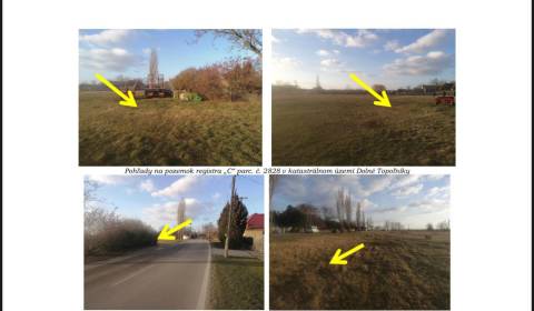 Predaj pozemku na bývanie, Dunajská Streda