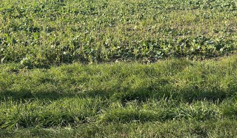 ☎️ 0918197701-IBA U NÁS !!  Na predaj investičný pozemok na výstavbu 1