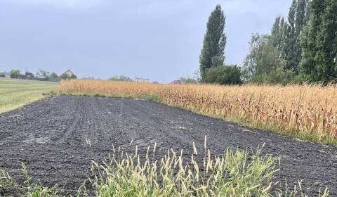 ZNÍŽENÁ CENA! Stavebný pozemok o rozlohe 557 m2 v Holiciach!
