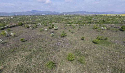 Pozemok v Modre s výmerou až 58.977 m2
