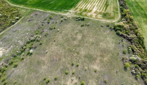 Pozemok v Modre s výmerou až 58.977 m2