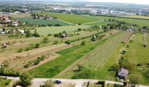 Rekreačný pozemok s výmerou 4.624 m2 vo vinárskej oblasti vo Vrábľoch