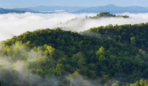 Horovce – 3.183 m2 LESOV (Urbáru) – PREDAJ