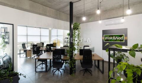 Moderné kancelárske priestory 222 m2, aké v Senici nenájdete