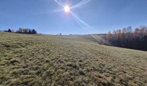 Pozemok na predaj v obci Detvianska Huta.
