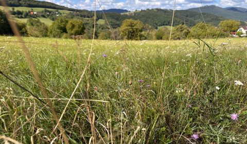 Poniky – 3.567 m2 POĽNOHOSPODÁRSKA pôda a LESY – Na Predaj