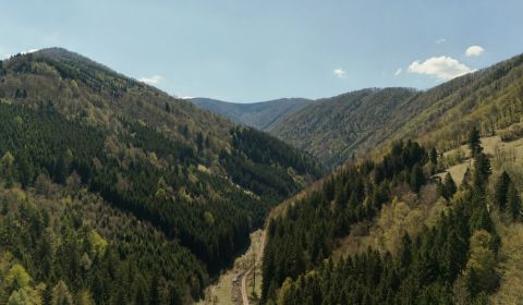 Lesný pozemok v katastrálnom území Rajecká Lesná - 2km od gejzíru