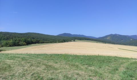 VALČA pozemok s výmerou 5800 m2,  okr. Martin 