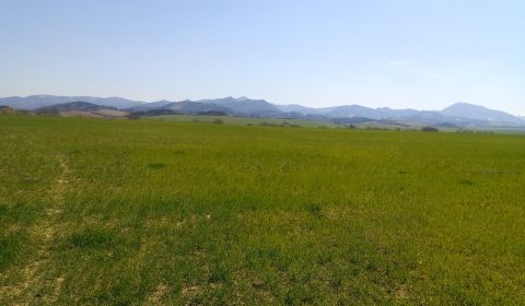 MARTIN-Záturčie pozemok na developerské a komerčné účely 11 672m2
