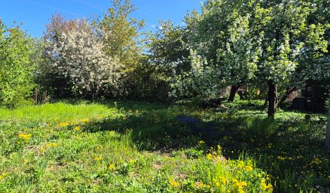 Záhrada, Nitra, 460 m2 , okres Nitra