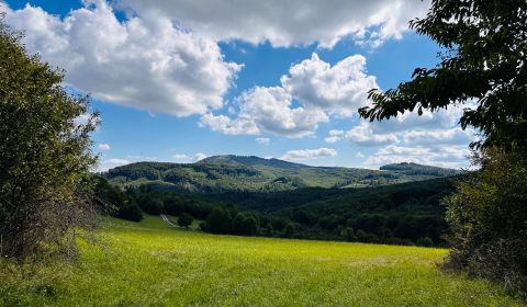 Zbudská Belá, Radvaň nad Laborcom – 20.004 m2 LESY a ORNÁ pôda