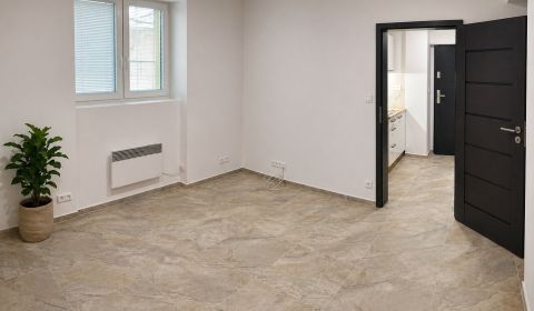 Zrekonštruovaný nebytový priestor (1 izbový byt) vo výbornej lokalite