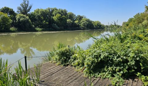 Slnečný pozemok pri vode Malý Dunaj, Nová Dedinka, Senec