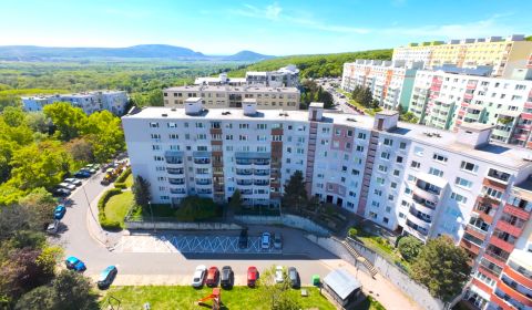 HLAVÁČIKOVA, 2-i byt, 64 m2 – lokalita obklopená zeleňou !
