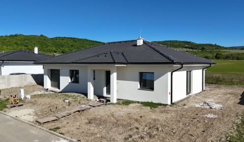 Krásny samostatný rodinný dom s garážou, 600m2 - Vinosady, Pezinok