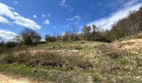 STAVEBNÝ POZEMOK NA PREDAJ, ZLATÁ BAŃA 3104 m2