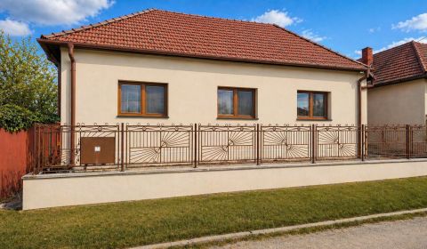Rodinný dom Horné Obdokovce - záhrada