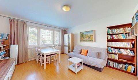 Začiatok Petržalky, priestranný 4-izbový byt 89 m², Planckova