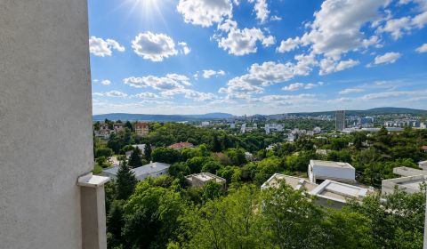 PRENÁJOM - Veľký zariadený 3-izbový byt pri Horskom parku