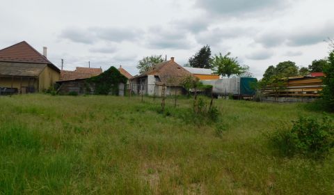 Pozemok so starým domom  v Dvoroch nad Žitavou
