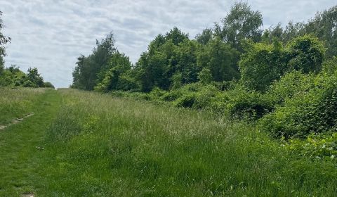 Stupava | Prémiový pozemok s panoramatickým výhľadom | 3 949 m²