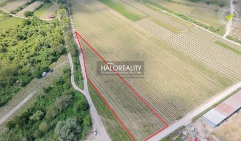 Predaj, pozemok   3801 m2 Svätý Jur - EXKLUZÍVNE HAL...