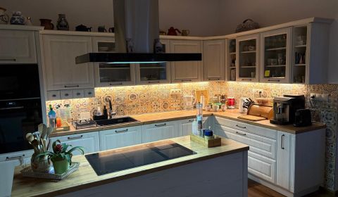 Veľký luxusný deväť izbový rodinný dom s veľkým pozemkom v Preseľanoch