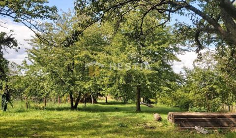 Na predaj: veľkorysý slnečný pozemok 2 892 m² v obci Cerová pod Malými