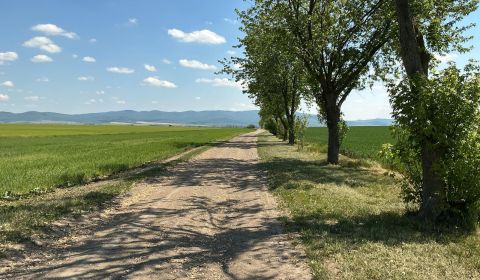 Rozsiahle pozemky s rozvojovým potenciálom Veľké Bedzany - Jacovce