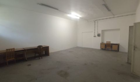 Prenájom haly / skladu / autoservisu – 134 m² Galanta