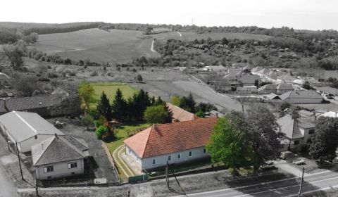 Kúria panský dom s rozsiahlym pozemkom 6345m2 Čifáre centum (okres NR)