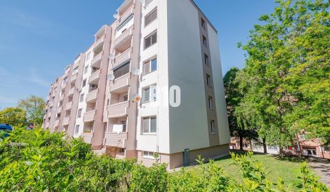 Veľký 3i byt s balkónom, Nitra - Čermáň (2x klimatizácia)