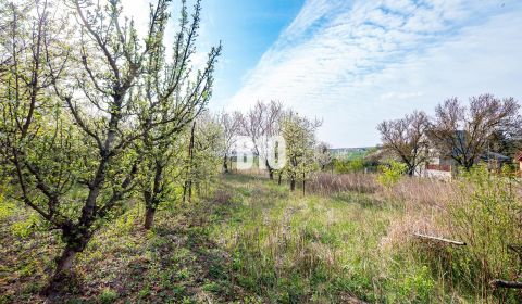Na predaj 2.000 m2 pozemok - 3 min. od mesta Nitra