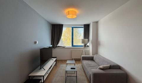 Na prenájom veľmi pekne zrekonštruovaný apartmán na Starom Juhu