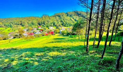 Na predaj stavebný pozemok o rozlohe - 2 360 m² v obci Brestov – 3 km 