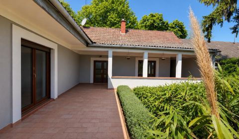 Útulný rodinný dom s veľkou prekrytou terasou, Nickelsdorf