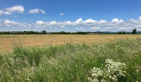 Pozemok Krtovce pri priehrade š.23m/4600m2 