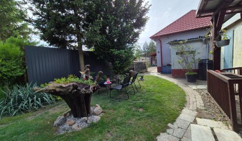 Vidiecky dom v lone prírody, na predaj, Topoľnica, Paľovce