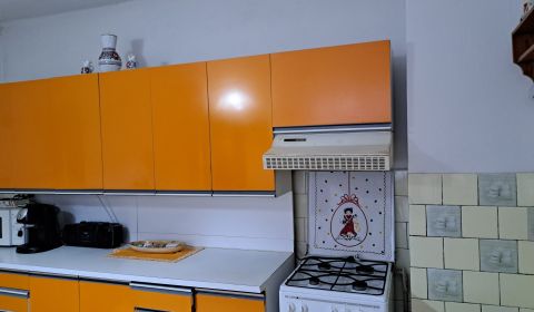 Dom v Trakoviciach na veľkom pozemku