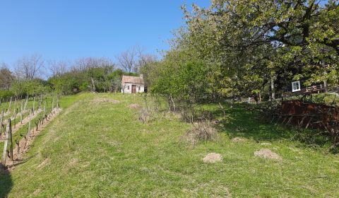 Rekreačný pozemok s chatkou a panoram. výhľadom – Stupava, Vrchná hora