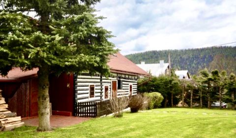Na predaj drevenica, pozemok 1891 m2, Šumiac, okr. Brezno