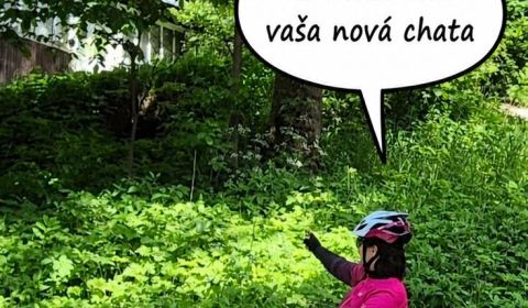 Predaj: Jedinečná ponuka - stavebný pozemok na polosamote v Terchovej