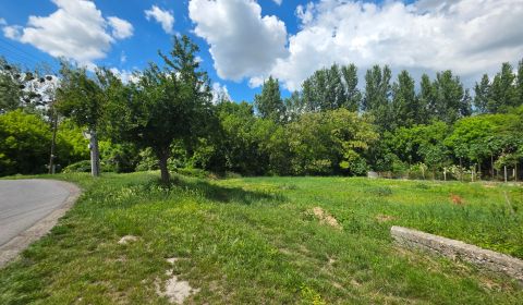 Pozemok pre výstavbu v centre obce Tomášikovo  578m2