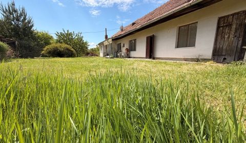 Starý vidiecky dom s takmer 30 árovým pozemkom – miesto, kde môže vzni