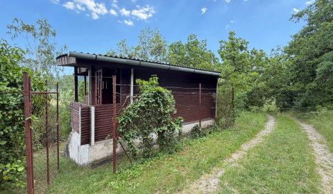 NA PREDAJ MALEBNÁ VINICA S CHATKOU, DVORNÍKY