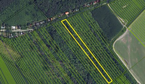 1.BCR | ORNÁ PÔDA, ŠIROKÝ POZEMOK, STUPAVA - MÁST