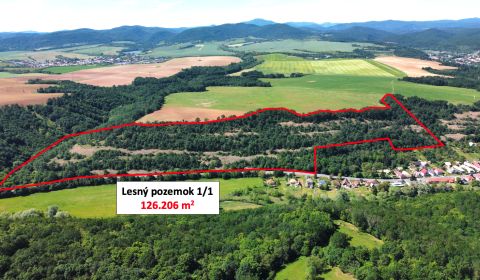 Domaníky – 126.200 m2 LESNÝ REKREAČNÝ POZEMOK v podiele 1/1